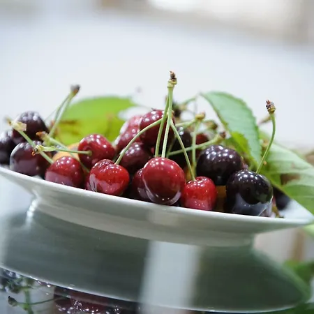 Gospodarstwo wiejskie Casa Da Eira